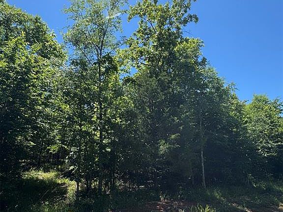 5th image of 56 Vista Ridge Trail