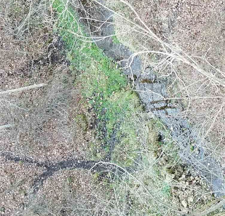 2nd image of Village Creek Dr