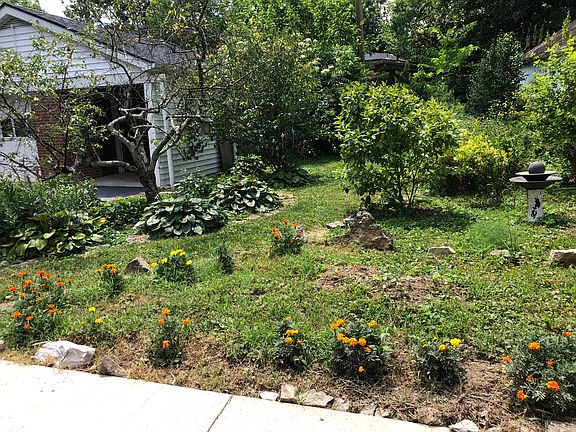 Contemplative garden