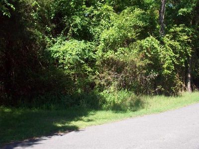 Next To 1448 Bittle, Heber Springs, AR, 72543