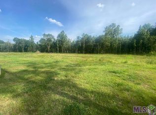 23701 S Frost Rd, Livingston, LA 70754