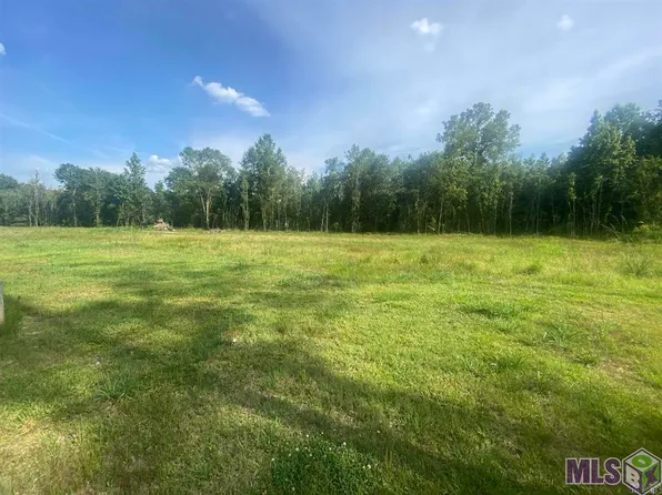 23701 S Frost Rd, Livingston, LA 70754