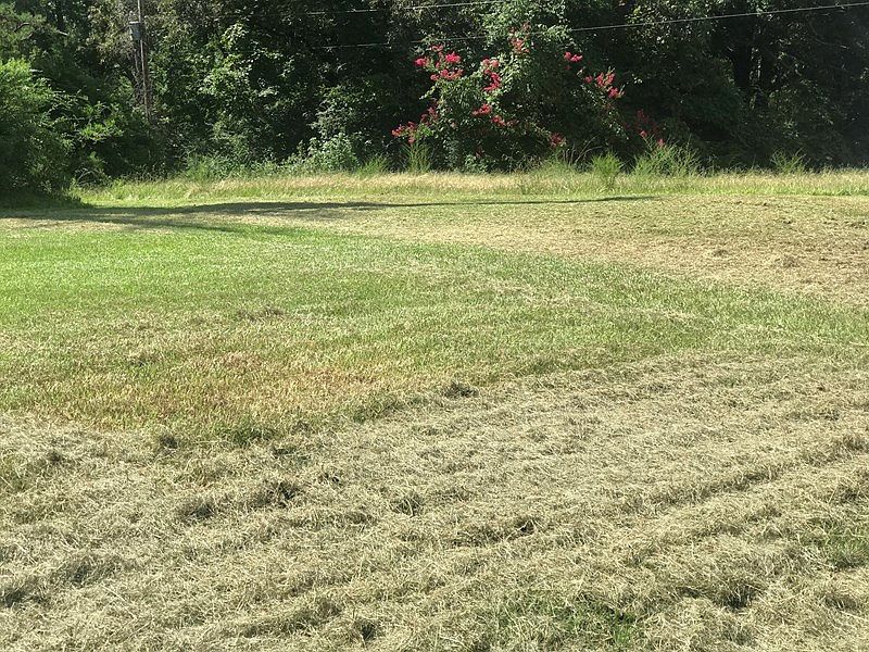 2nd image of 141 Lackey Dr #100065