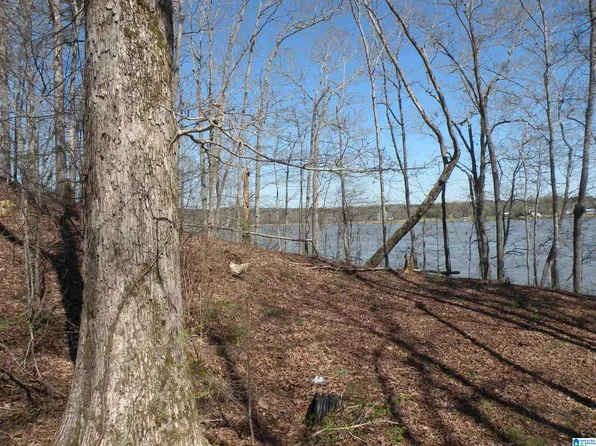 0 Billingsley Dr #13, Childersburg, AL 35044