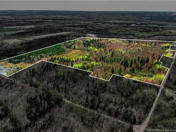 LOT Saint Damien Rd, Saint Mary, NB E4V 3C4