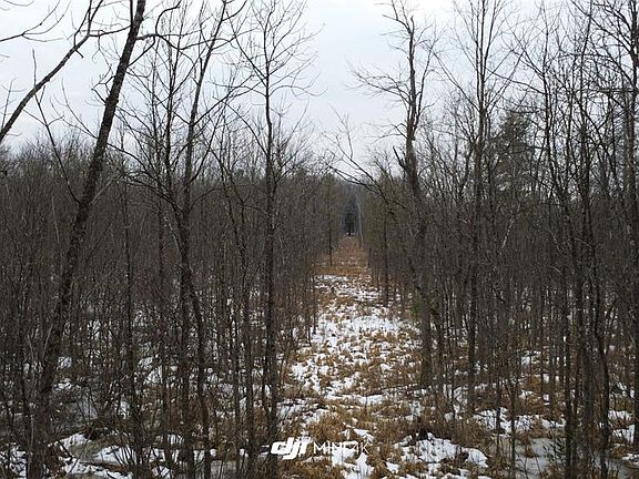 2nd image of OOO LAKE RD