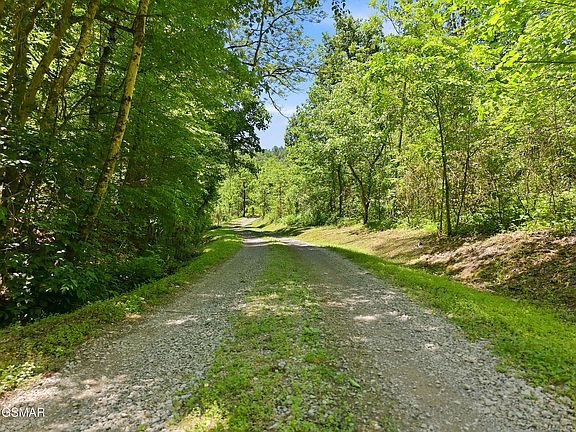 71st image of 1319 Licklog Hollow Rd