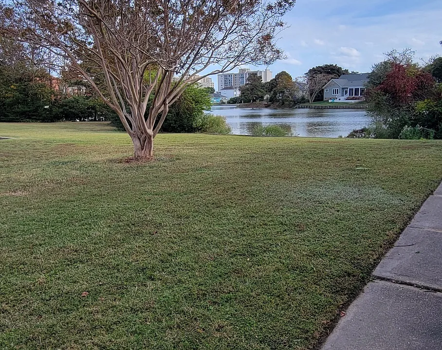 Grass area between front door and Lake Holly.