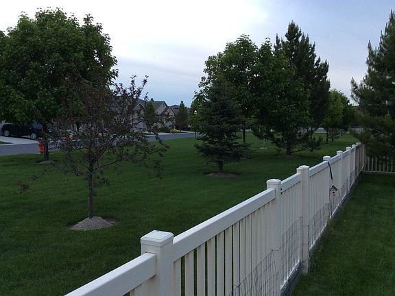 Grassy area behind house.