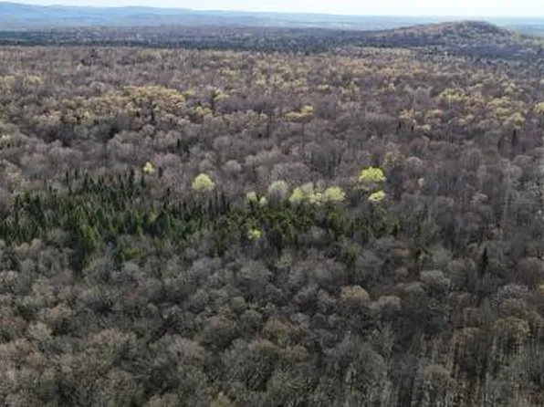 0 Blair Kiln Rd, Chateaugay, NY 12920