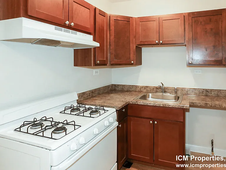 522 W Cornelia Ave #1 — Photo 2