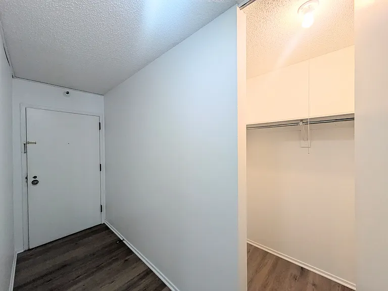 10 E Ontario St #1105 — Photo 13