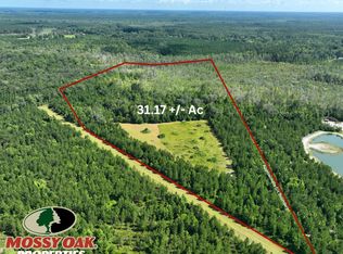 31.17 Hollow Point Trl, Kingsland, GA 31548