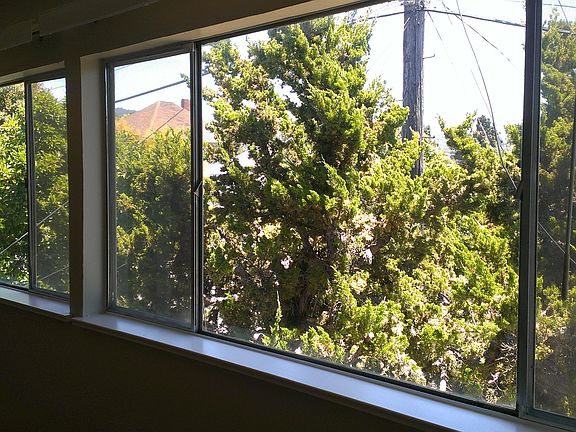 Living Room Window Line