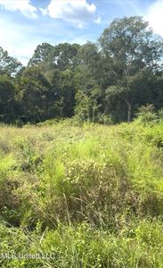 River Music Dr, Gautier, MS, 39553