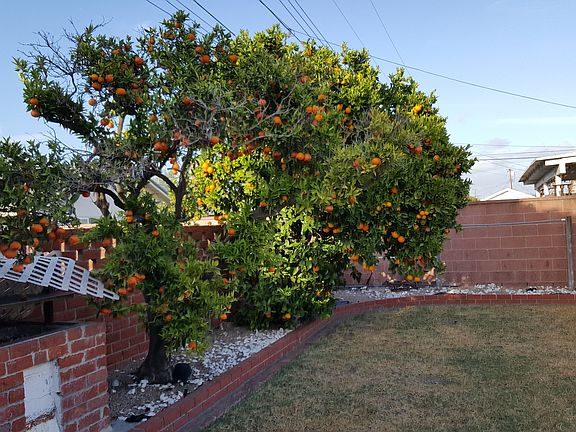 3rd image of 6765 San Benito Way