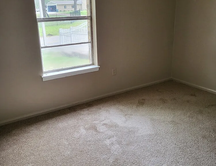 3497 Arnold Rd — Photo 4
