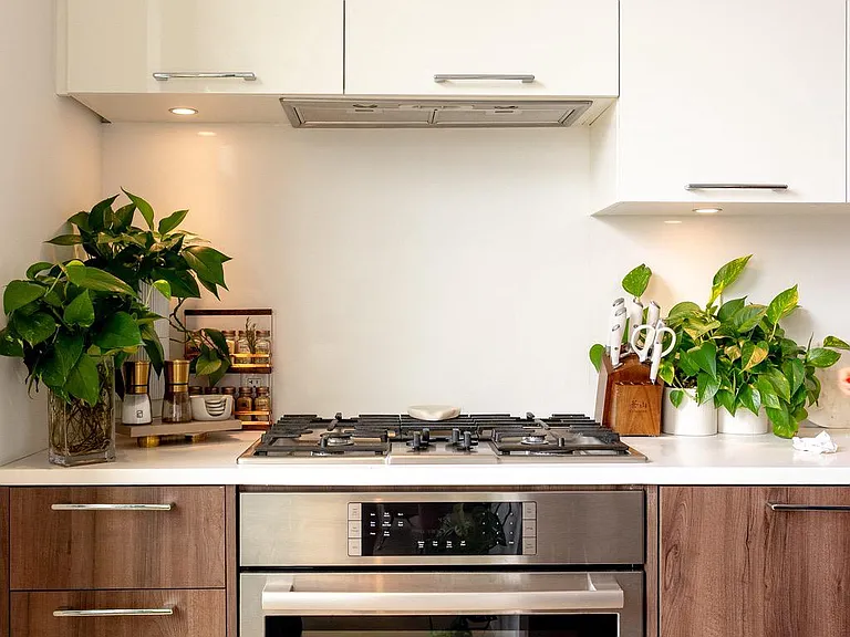 1650 Silver Hill Dr #1505 — Photo 9