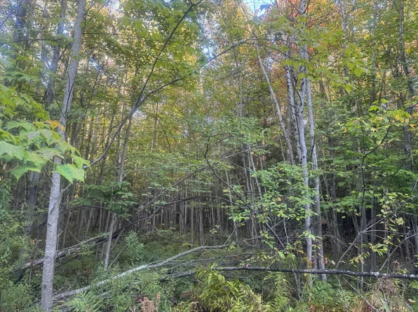 W14903 Sandtown Rd, Engadine, MI 49827
