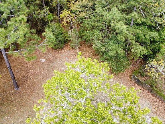 4th image of 134 Wilma Ann Dr