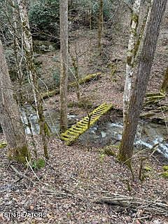 5th image of 0 Barnes Hollow Rd