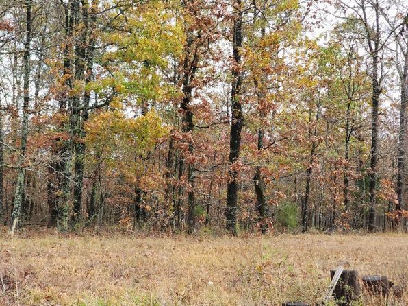 0 Carter Rte E #266, Grandin, MO 63943