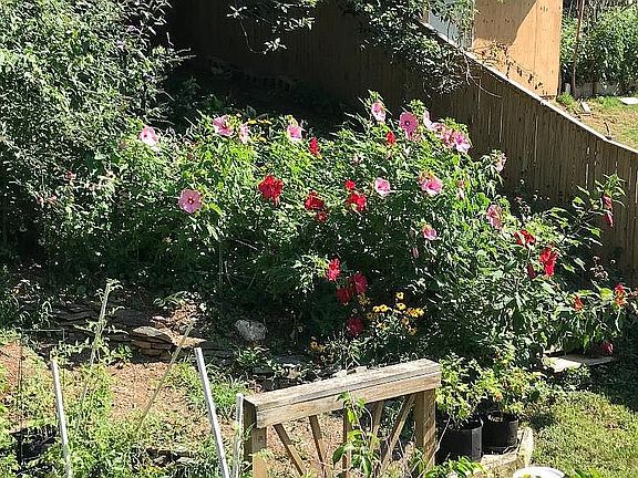 Backyard Garden & Deck
