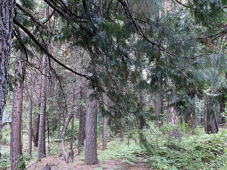 1st image of 2914 Chinook Way