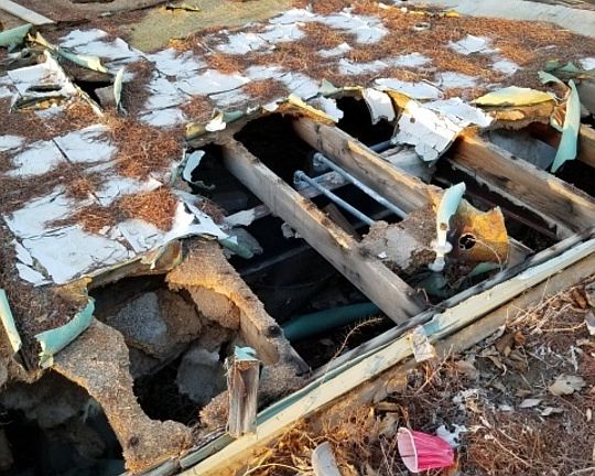 5th image of 141 Camp Fire Dr