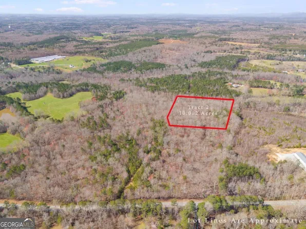 TRACT 2 Georgia Hwy #100, Buchanan, GA 30113