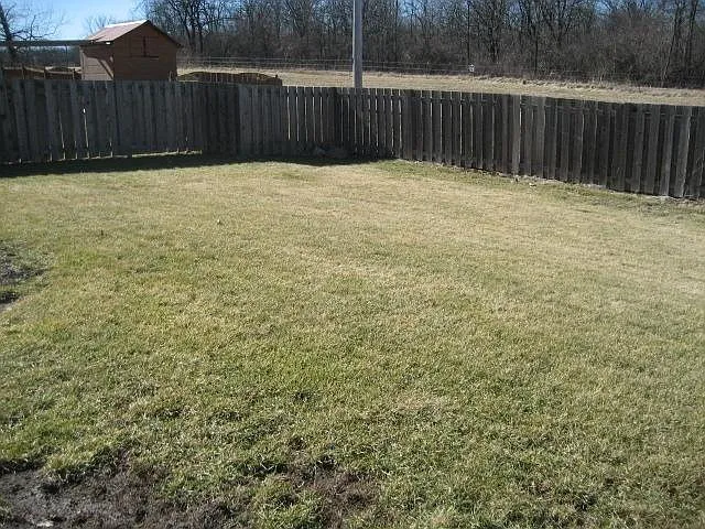 Back of Yard facing South West