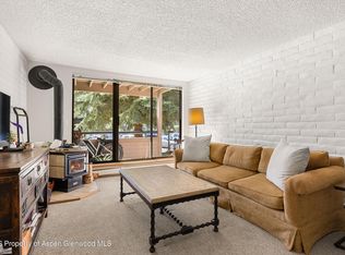 211 Vine St #201, Aspen, CO 81611