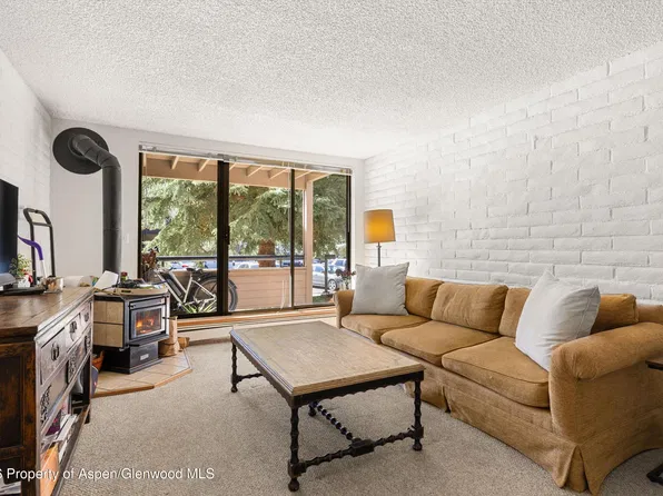 211 Vine St #201, Aspen, CO 81611