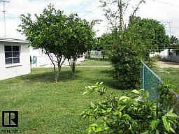 back yard
