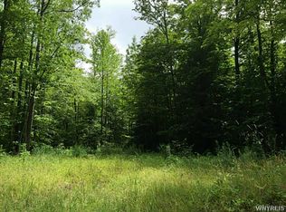 Wilcox Rd LOT 2, North Collins, NY 14111