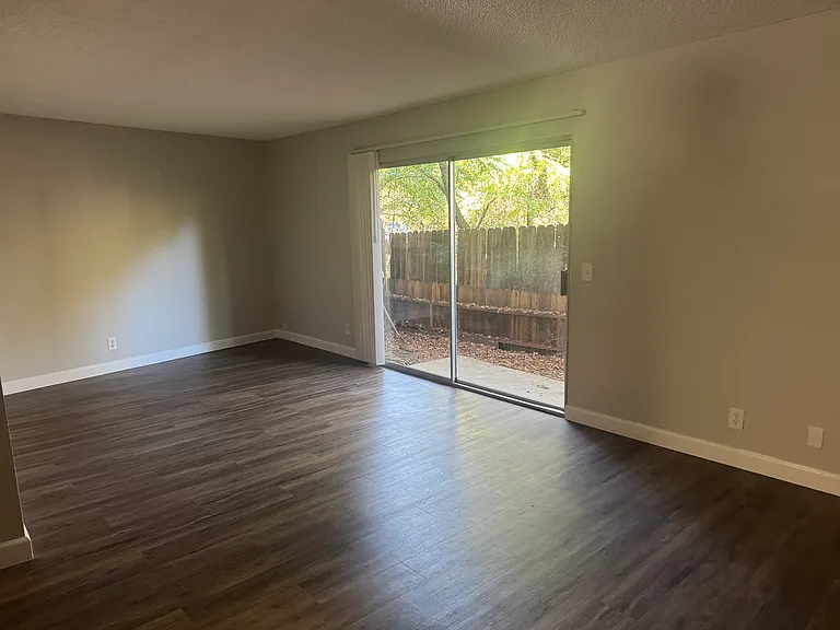 Forest Creek — Photo 15