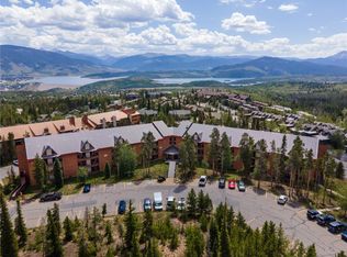 89100 Ryan Gulch Rd #203, Silverthorne, CO 80498