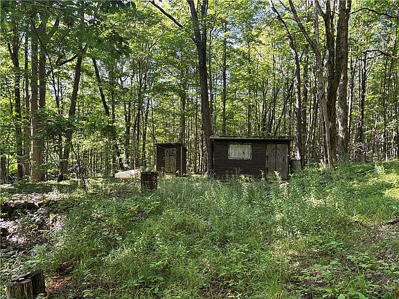 4th image of 6952 Canadice Hill Rd Lot 59
