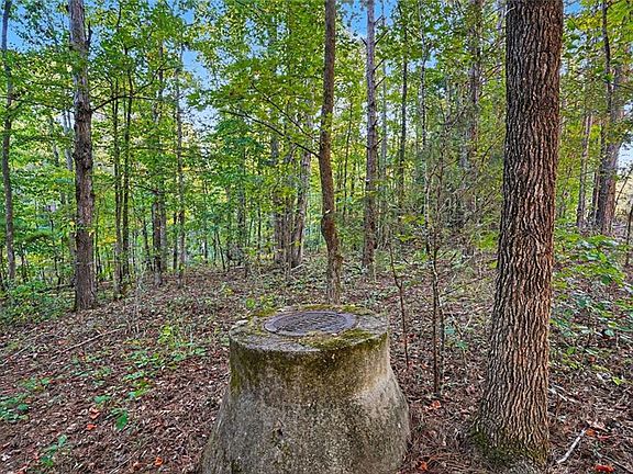 2nd image of 0 Locust Rd #124