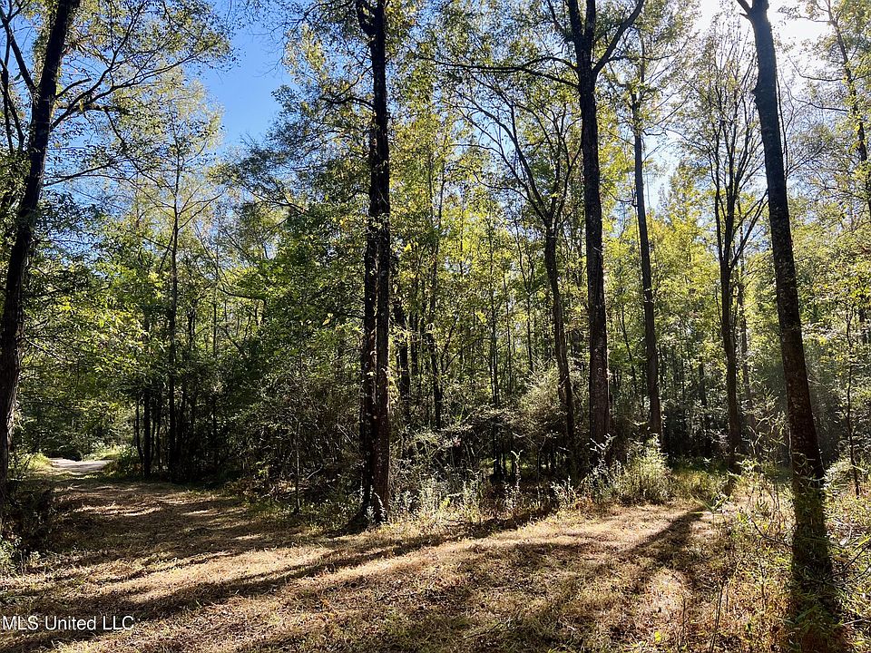 0 Loring Rd, Pickens, MS 39146 Zillow