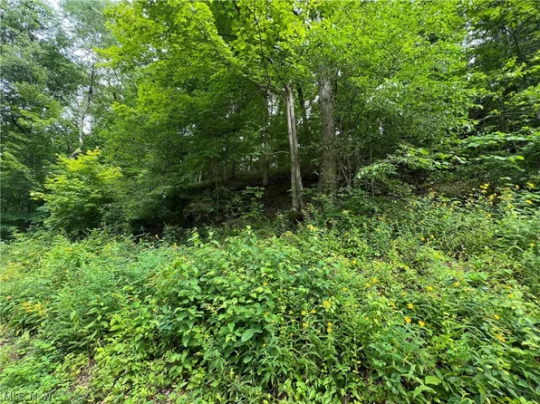 Vl Bald Knob Stiversville Rd, Portland, OH 45770