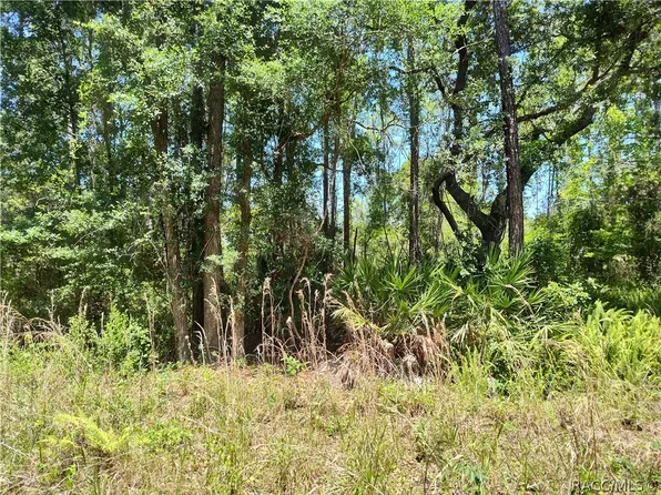 LOT NE 66th Ct #C, Citra, FL 32113