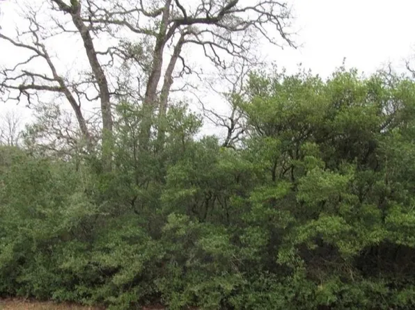 Walker Dr, Normangee, TX 77871