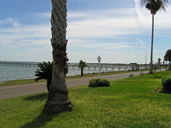View to Bay