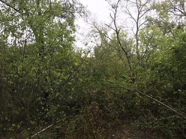 Fm 1365, Mexia, TX 76667