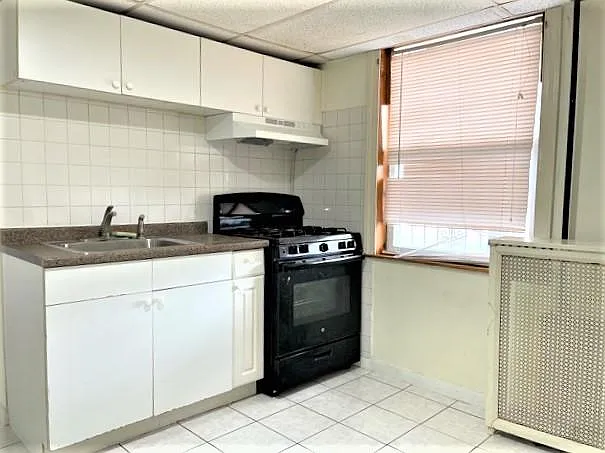 4858 S Springfield Ave #1W — Photo 5