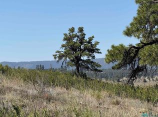 U 4 Chama West Dr, Chama, NM 87520