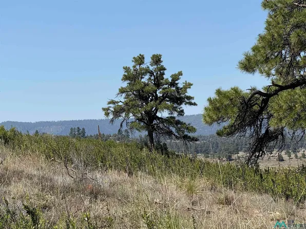 U 4 Chama West Dr, Chama, NM 87520