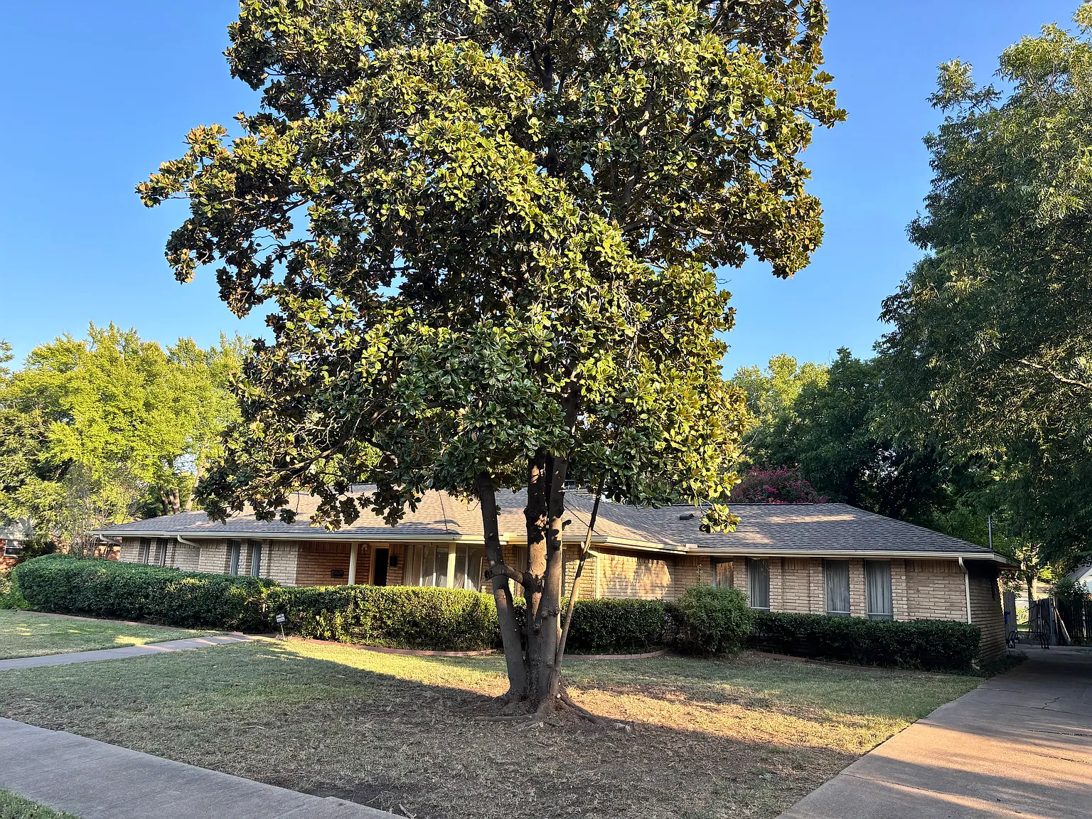 916 Sequoia Dr — Photo 2