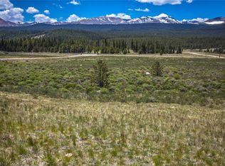 145 Ice Axe Ct, Alma, CO 80420